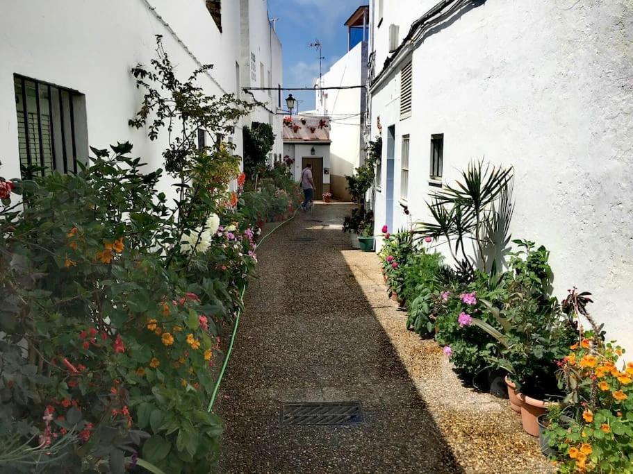 Corazon De Conil Apartment Conil De La Frontera Exterior photo