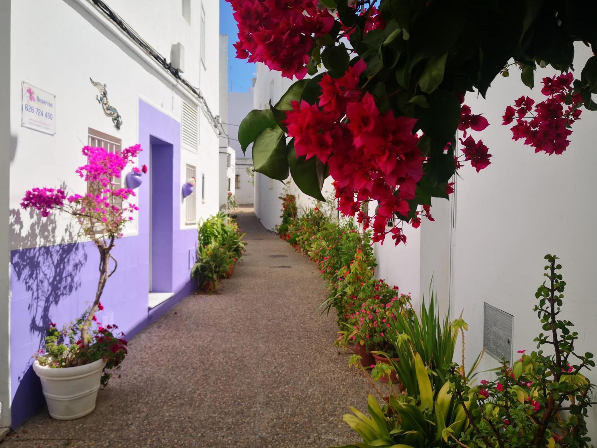 Corazon De Conil Apartment Conil De La Frontera Exterior photo